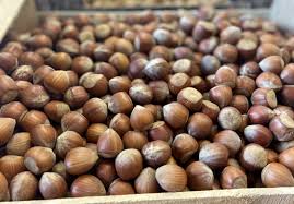 Aujourd'hui samedi 24 juillet 2021, faites vous plaisir grâce à notre sélection bonbon au kilo pas cher ! Noisette Coque France 22 Fruits Secs Fruits Bio Au Jardin De Johana