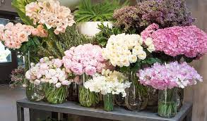 We did not find results for: Florist Same Day Flower Delivery Winston Flowers