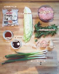 Une Merveilleuse Recette De Gyozas Ultra Simple A Faire Chez Soi Recette Alimentation Gyoza