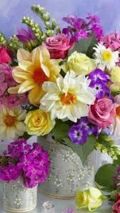 Sign In Schone Blumen Blumen Wunderschone Blumen