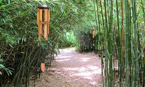 77 résultats pour 'bambou jardin'. Le Jardin Bambous En Provence