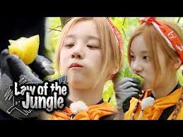 The show is hosted by comedian kim byung man, and each episode invites various celebrities from the various field. Yuqi Take It To Her Mouth Without Hesitation Law Of The Jungle Ep 380 Youtube Law Of The Jungle Jungle Drama Movies