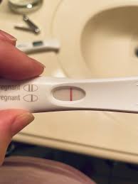 First Response Early Result Pregnancy Test 3 Ct Food 4 Less