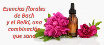Enric homedes nos habla de agrimony, la negación en terapia floral. Esencias Florales De Bach Y El Reiki Una Combinacion Que Sana