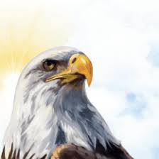 Bob Middendorf Obituary (1943