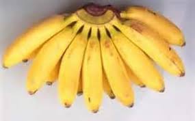 Yelakki banana and kamala orange. Fresh Yelakki Banana Buy Fresh Yelakki Banana In Karur Tamil Nadu India