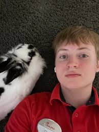 House rabbit relaxation after dinner