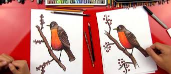 How To Draw A Robin Bird Realistic Art For Kids Hub Art For Kids Hub Art Lessons For Kids Art Lessons