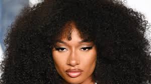 Megan Thee Stallion Boards Safdie Brothers Movie With Adam Sandler