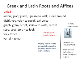 ppt greek and latin roots and affixes powerpoint