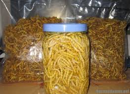 Bạn biết gì về tác dụng của rượu sâu chít Tây Bắc