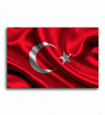 T.c bayrak kanunu ve tse ebatlarına göre türk bayrağı ölçüleri aşağıda verilmiştir. Dalgalanan Turk Bayragi Tablo