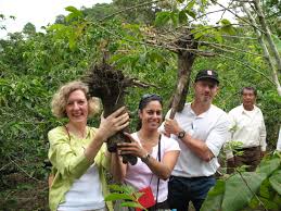 15 Voices: An Interview with Bonnie Cockman - Root Capital