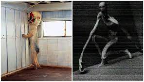 We did not find results for: 5 Makhluk Scp Ini Dipercaya Hidup Dan Sedang Mengintai Umat Manusia Boombastis