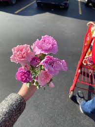 I don't have a trader joe's near me, but per other reviewers, it's worth noting that the price is cheaper in the store. My Local Trader Joe S Was Handing Out Flowers At Checkout Traderjoes