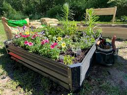 Home gardens provide multiple environmental and ecological benefits. Home Gardening Benefits Of Using Raised Garden Beds Industry Update Com