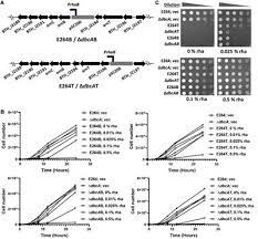 A sexploit is a combination of two words: Baca List Of Frontiers Open Access Articles