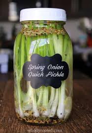 Category Pickles Recipe Pickled Green Onions Recipe Green Onions Recipes Pickles