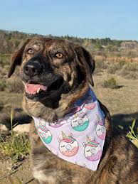 Profile for Anja Lou Photography