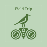 Curtis Arboretum Bird Walk