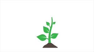 Seed saving and growing techniques for vegetable gardeners 2nd edition ebook. 2 693 Best Growing Tree Animation Images Stock Photos Vectors Adobe Stock