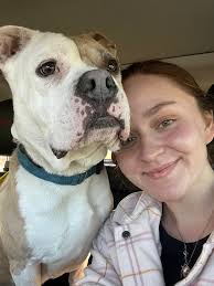 Peanut Butter is a good, sweet guy that I have been worried about for  months. He came in with his sister, Jam, who sadly lost her life. They were  both shy/fearful but