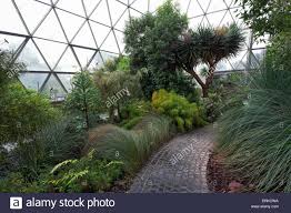 Auf 4,2 hektar sind rund 10 000 verschiedene pflanzenarten zu sehen. Mediterraner Vegetation Im Gewachshaus Botanischer Garten Der Heinrich Heine Universitat Dusseldorf Nordrhein Westfalen Stockfotografie Alamy