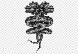 Press tattoo, design facing down, onto skin. Snake Quetzalcoatl Tattoo Double Headed Serpent Maya Civilization Feathered Serpent Design Scaled Reptile Celtic Knot Png Pngegg