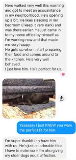 We did not find results for: Land Of The Ozarks Great Dane Rescue Home Facebook