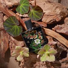 Nest S Cocoa Woods Perfume Which Has Notes Of Bittersweet Cocoa Sequoia Wood White Sandalwood Tiare Blossom A Fragrance Collection Eau De Parfum Sephora