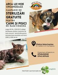 Urmeaza O Campanie De Sterilizari Gratuite Pentru Caini Si Pisici Campuscluj Ro