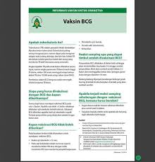 Vaksin Bcg Kulit Penyakit Sekolah