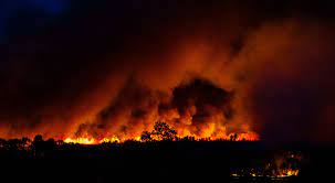 The widely varied fire seasons are. Australia Bushfire Crisis