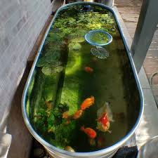 Fishkeeping 4 Fun On Instagram Nice Idea For A Small Outdoor Pond Credit Pondviewranchu Outdoor Ponds Goldfish Pond Ponds Backyard