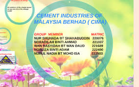 I worked at cement industries of malaysia berhad. Ninja Girls By Doli Donia