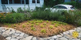 To the left, i planted fragoo strawberry plants. Eat Your Lawn Green Abundance By Design