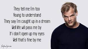 Avicii Wake Me Up Lyrics Youtube