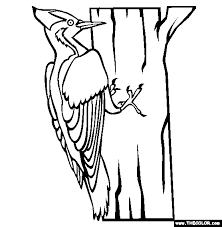 Ivory Billed Woodpecker Online Coloring Page Online Coloring Pages Bird Coloring Pages Coloring Pages