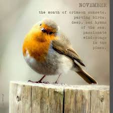 November Bird Of The Month Pin On Design