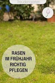 Rasen Im Fruhjahr Pflegen Vertikutieren Und Dungen U Rasen Dungen Rasenpflege Im Fruhjahr Rasen