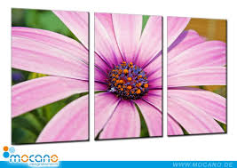 Simple and innovative oil painting, flower # diy oil painting # oil painting. Der Fruhling Als Schones Wandbild Als Florales Keilrahmenbild Auf Leinwand Dieses 3 Teilige Leinwandbild Mit Keilrahmenbilder Schone Wandbilder Leinwandbilder