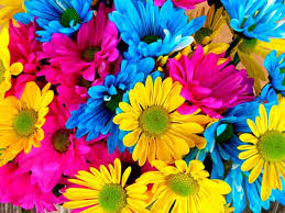 Sonar Con Flores De Colores Que Significa Sonar Con Flores De Colores