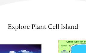 Animal cells must include all of these key terms: Travel Brochure For A Cell By Laura Metts By Jill Metts