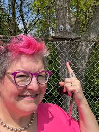 What should we name this tree face in Holland, Michigan?