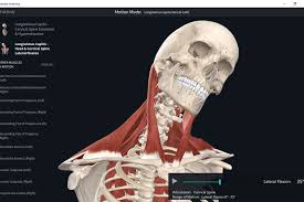 Complete anatomy, free and safe download. Complete Anatomy App Free Download