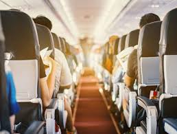 Los animales son transportados en valijas especialmente diseñadas para su movilidad. Los Cinco Tipos De Pasajeros Que Convertiran Tu Vuelo En Una Pesadilla El Baul