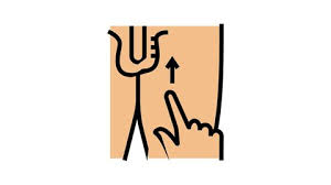 Image result for Cremasteric Reflex