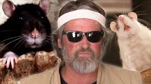 Glen's Rat Collection