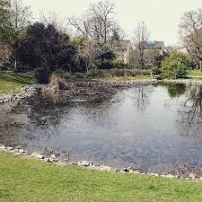 Lauschige anlage mit gartenschlösschen und teich in bessungen. Prinz Emil Garten Darmstadt Aktuelle 2021 Lohnt Es Sich Mit Fotos Tripadvisor