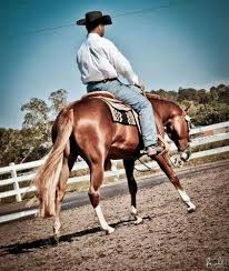 He S A Cool Hot Rod Horses Animals Hot Rods